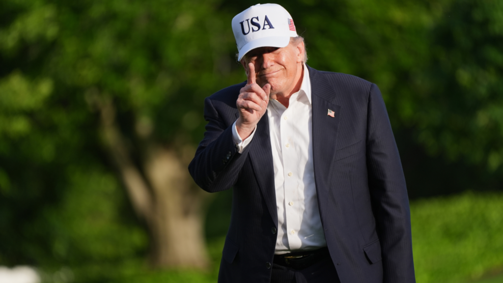 Donald Trump is standing on grass on the South Lawn of the White House. He is pointing up and forward in front of his face with his right index finger. He is wearing a black suit and a white USA hat.