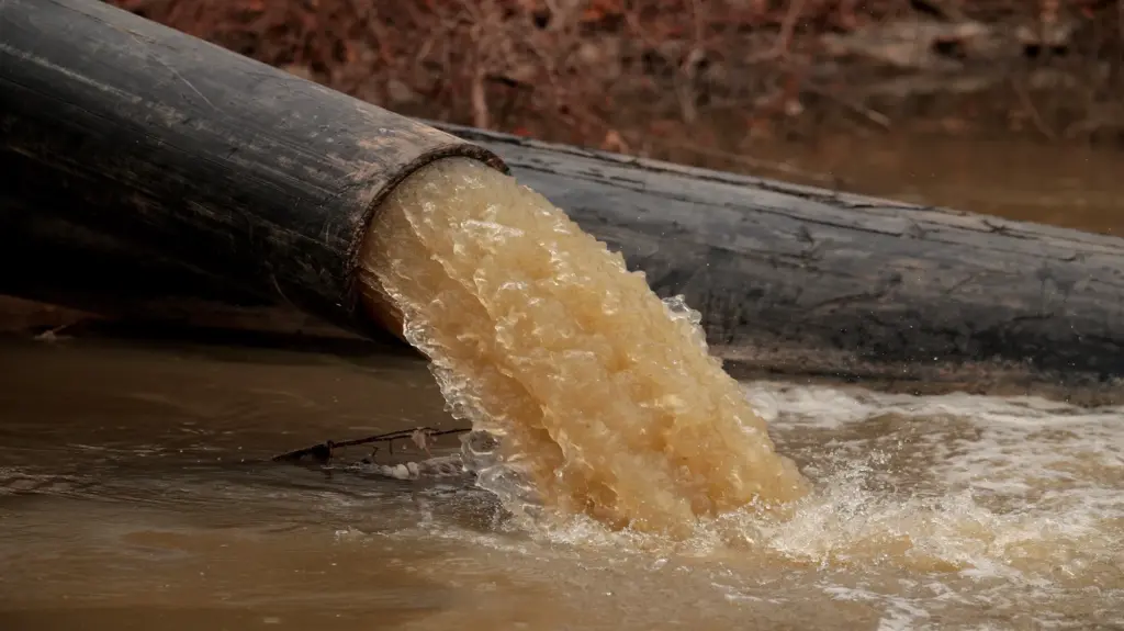 Murky brown water flows from a pipe into a canal.
