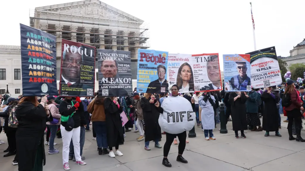 protesters holding signs and dressed in costumes outside the Supreme Court