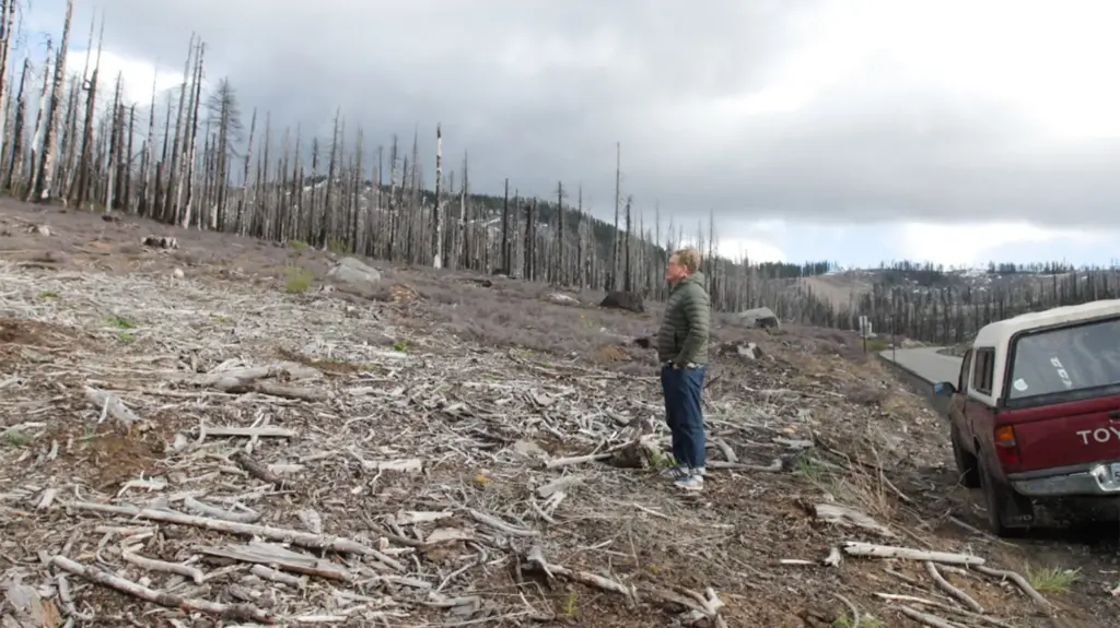 A man in a gray puffy down jacket looks out over a desolate, scarred hillside near a roadway.