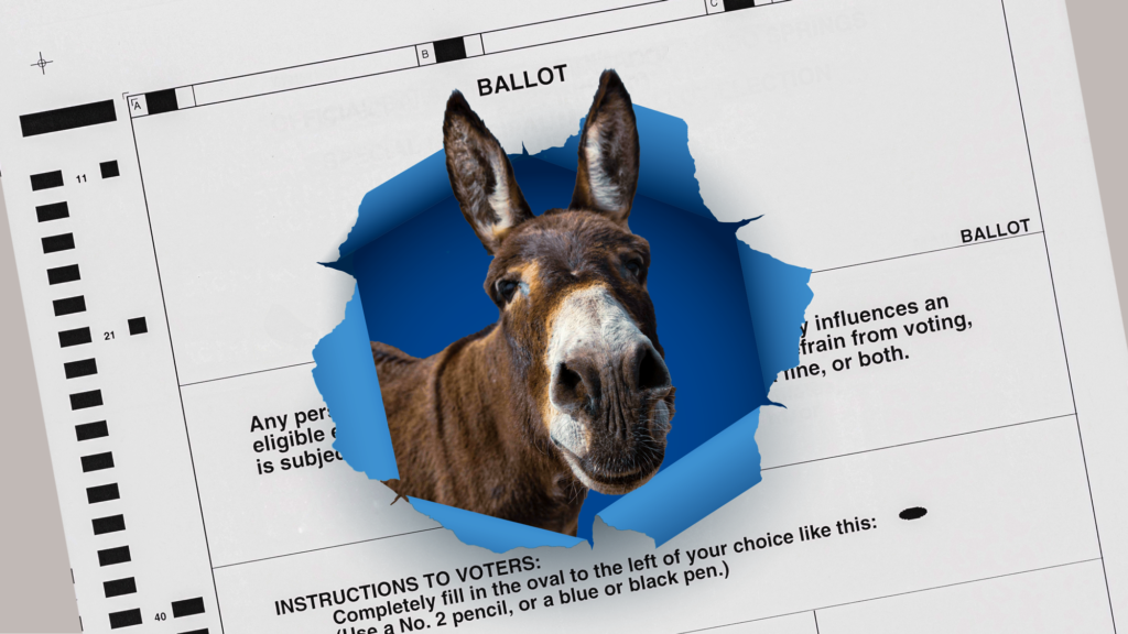 A photo illustration of the face of a donkey busting through a ballot.