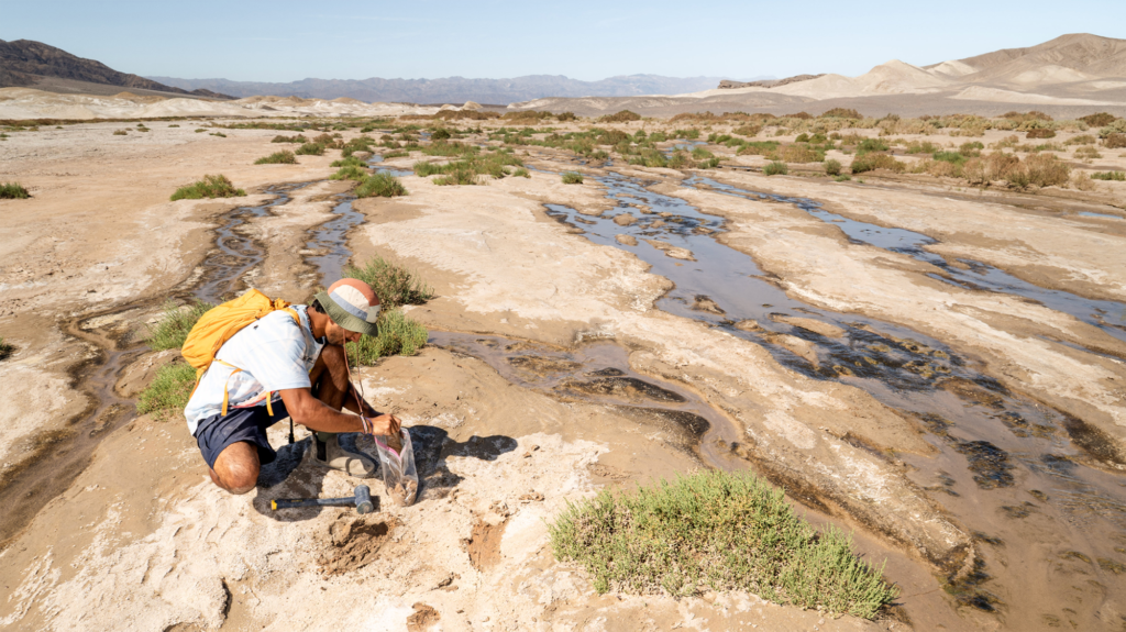 Man wearing a bucket hat and a yellow backpack squatting to collect soil samples in a plastic bag in a brown desert dotted with green.