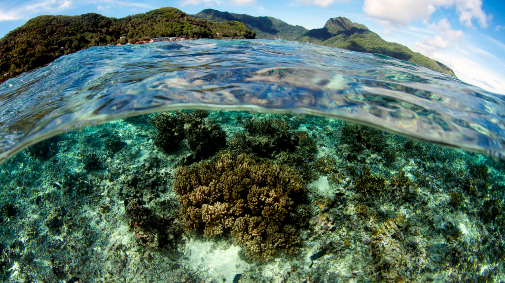 A coral reef lies beneath the clear water in the American Samoa. Tall green mountains tower in the background with a blue sky and a few clouds.
