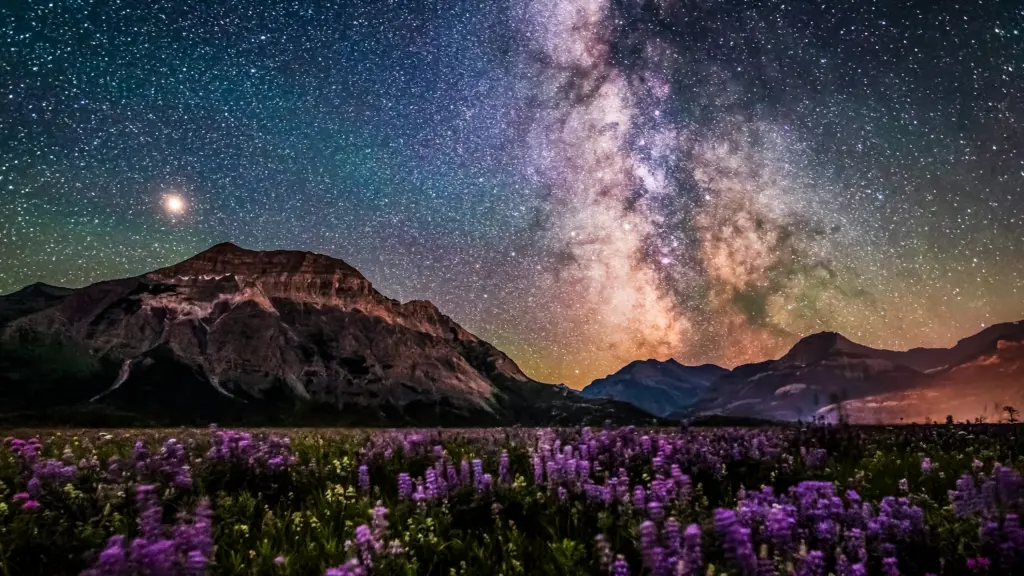 A photo of the shimmering Milky Way as seen at night, framed on the left and right by a sky full of stars. Below the sky is a meadow of purple wildflowers that leads up to rugged, dark mountains.