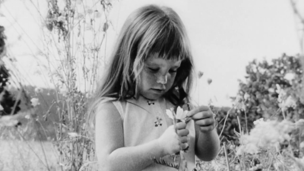 a girl in a field picks daises
