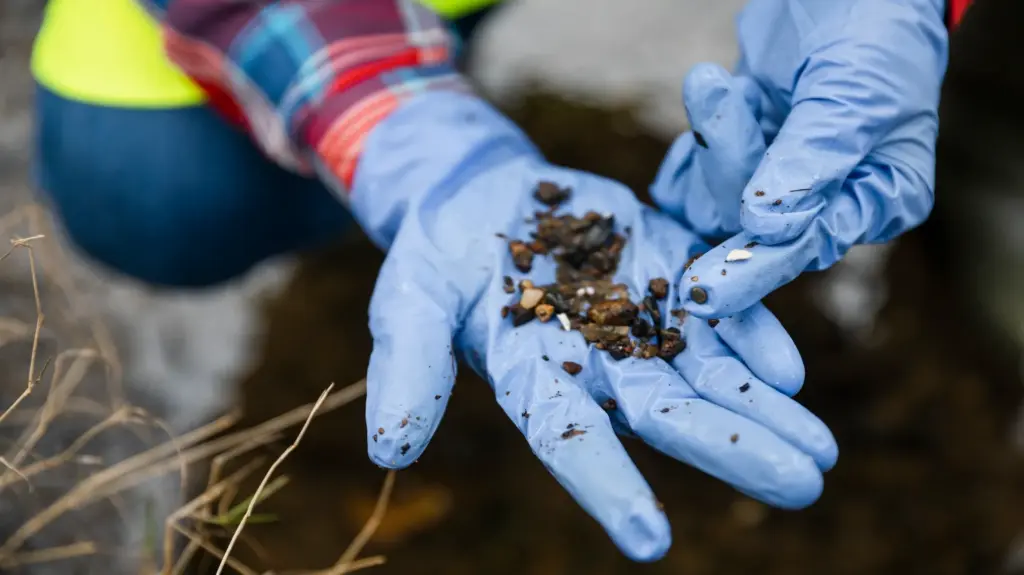 A person wearing blue gloves holds a small pile of soil mixed with plastics.