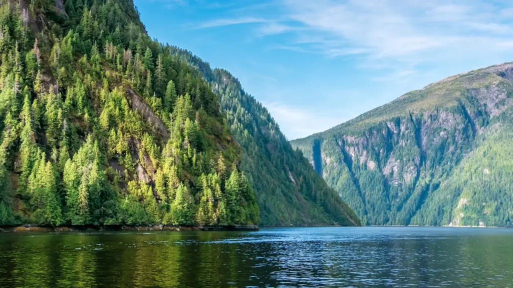 Hill covered in forests surrounded a dark lake with gentle ripples.