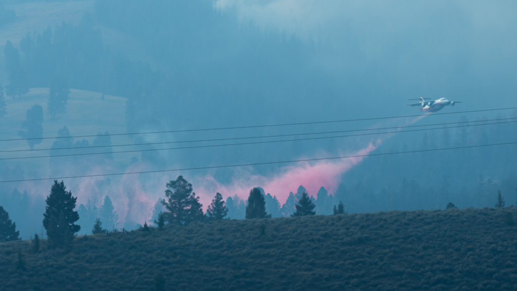 a bluish haze suffuses this photo of a plane dropping pink fire retardant over a forested area